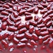 High Quality Canned Kidney Beans