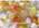 haccp certified