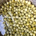 manufacturer green pea snacks
