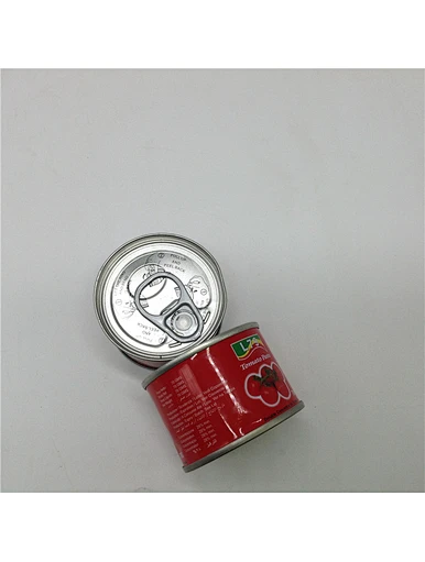 Haute qualité en conserve Easy Open Sauce tomate Ketchup pâte