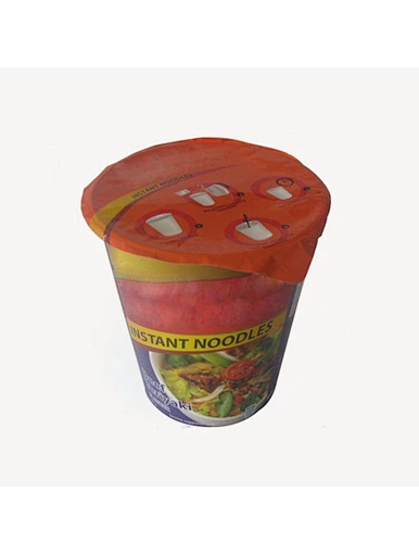 instant noodles manufacturing plant