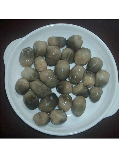 wholesale canned mushrooms