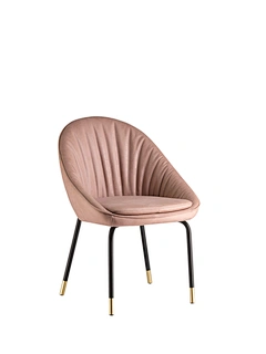 dining chair set of 2