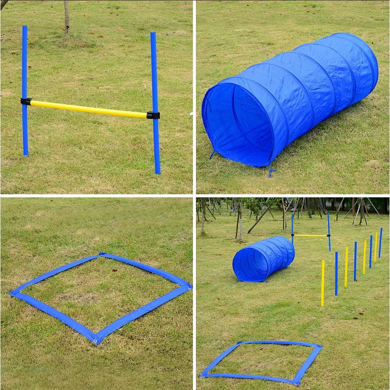 Backyard Competitive Dog Agility Training Kit Obstacle Course Equipment