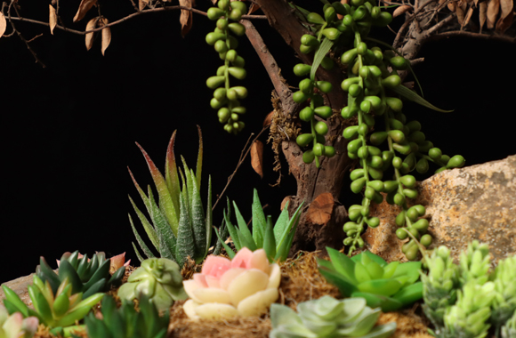 Why we choose artificial plants?