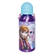  classic style aluminum water bottle with strap