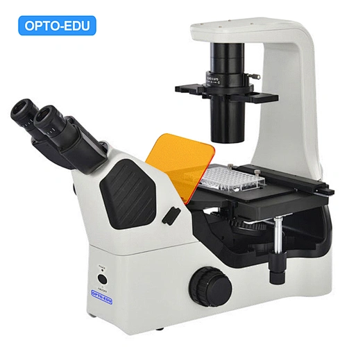 Inverteret LED fluorescerende mikroskop, B,G,U