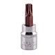 socket bit