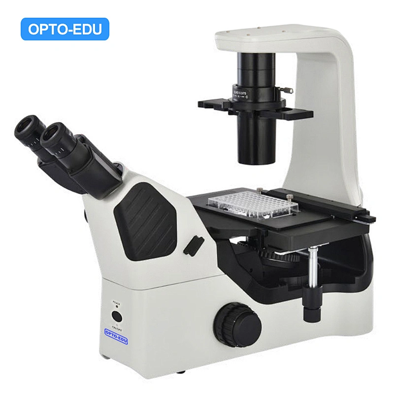 Microscope à contraste de phase biologique inversé