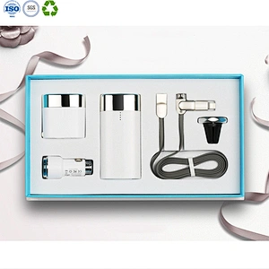 Power Bank Wall Charger Gift Set