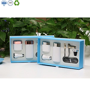 Power Bank Wall Charger Gift Set