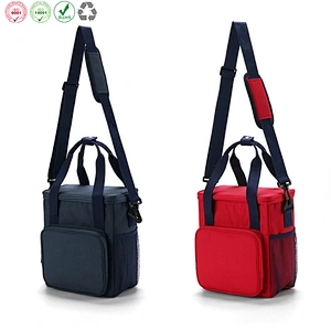 Cooler bag