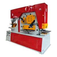 Hydraulic Ironworker HIW-250