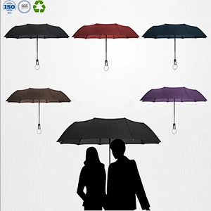 Umbrella