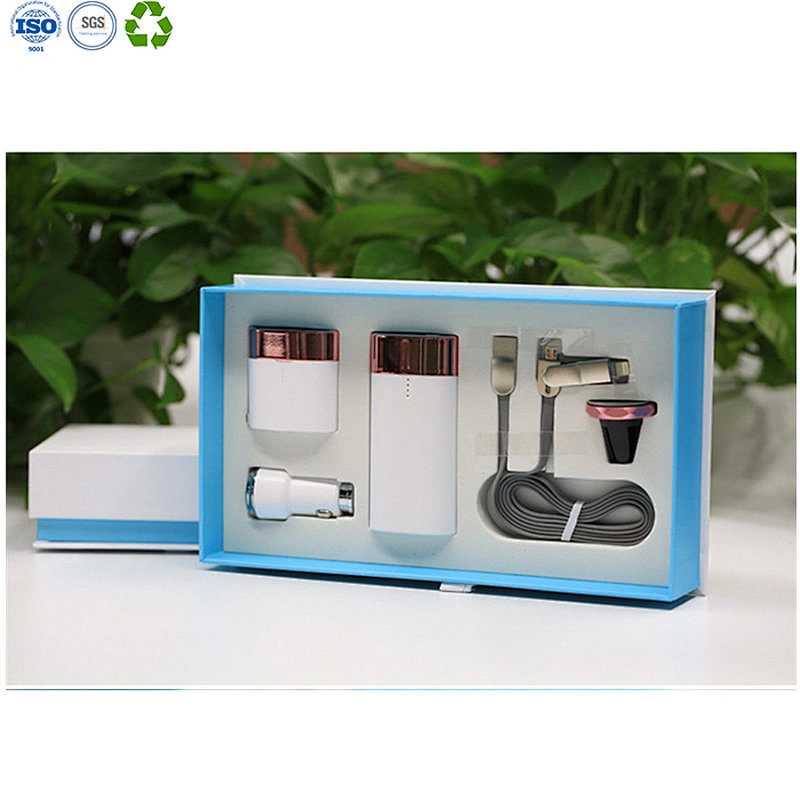 Power Bank Wall Charger Gift Set