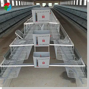 Chicken Cage