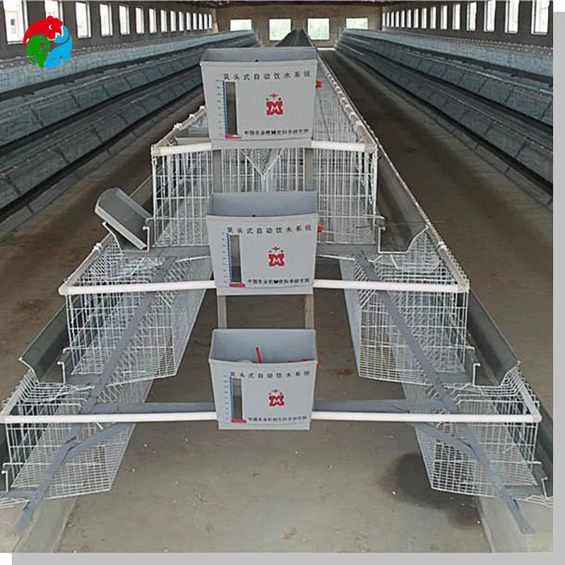 Chicken Cage