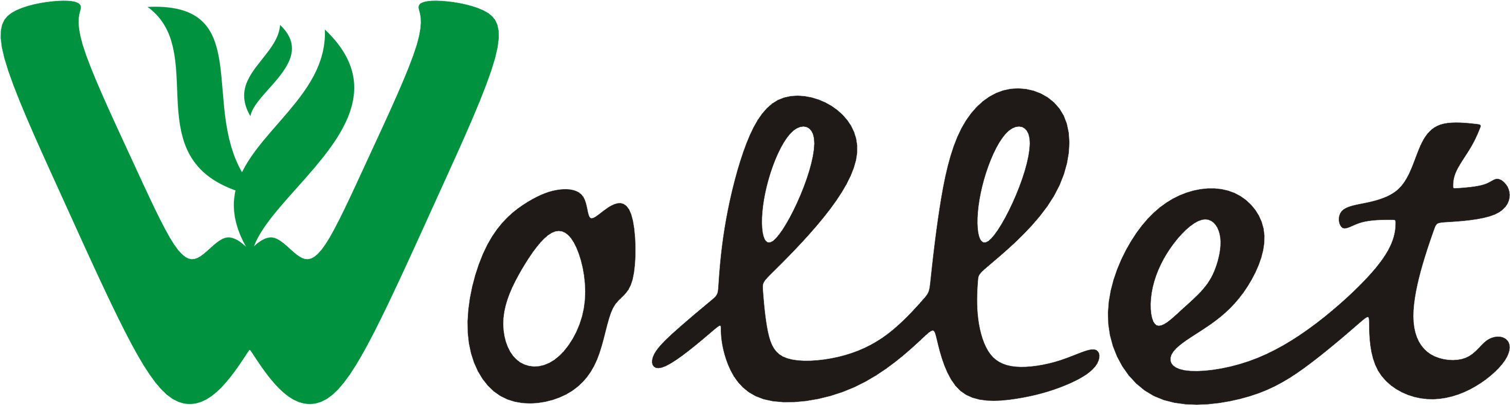 Wollet Magnetic Jewelry Co.,Ltd