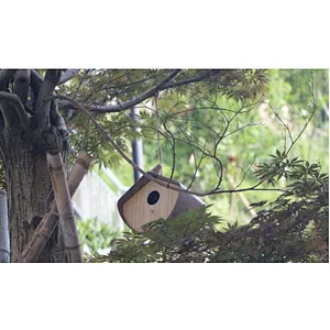 Building Bird House- S