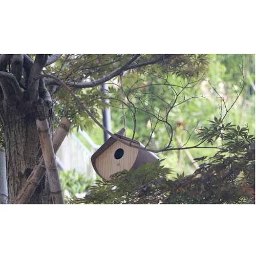 Building Bird House- S