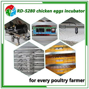 5280 Egg Incubator