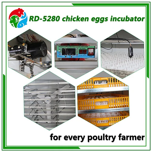 5280 Egg Incubator