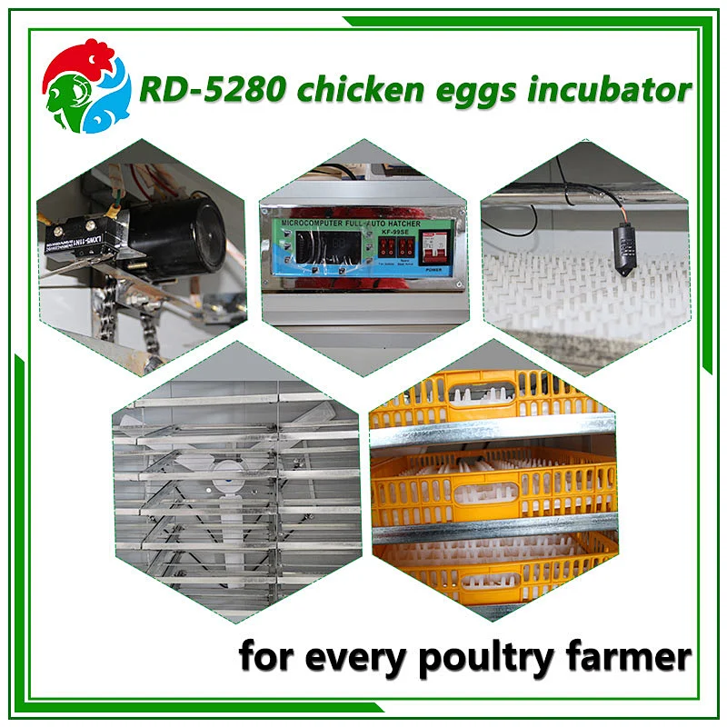 5280 Egg Incubator