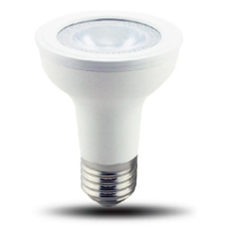 Directional Lamp