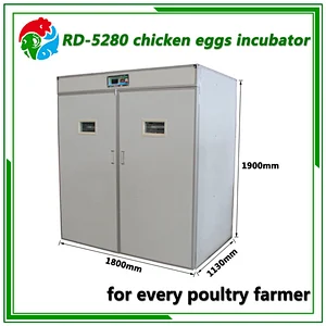 5280 Egg Incubator
