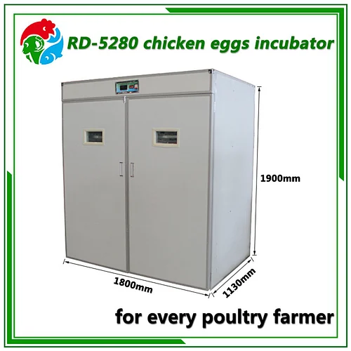 5280 Egg Incubator