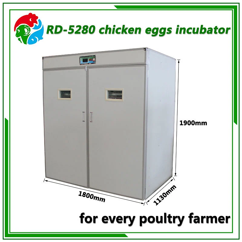 5280 Egg Incubator