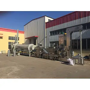 Continuous seamseeds roaster
