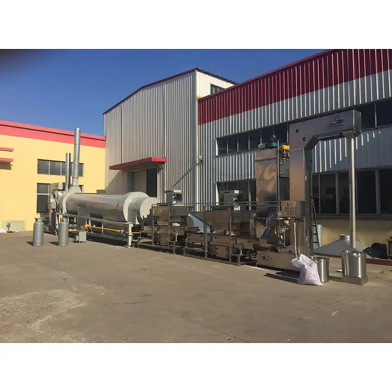 Continuous seamseeds roaster
