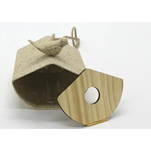 Building Bird House- S