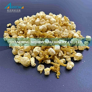 Dry TVP Products Making Machine