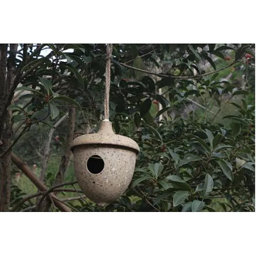 Acorn Bird House