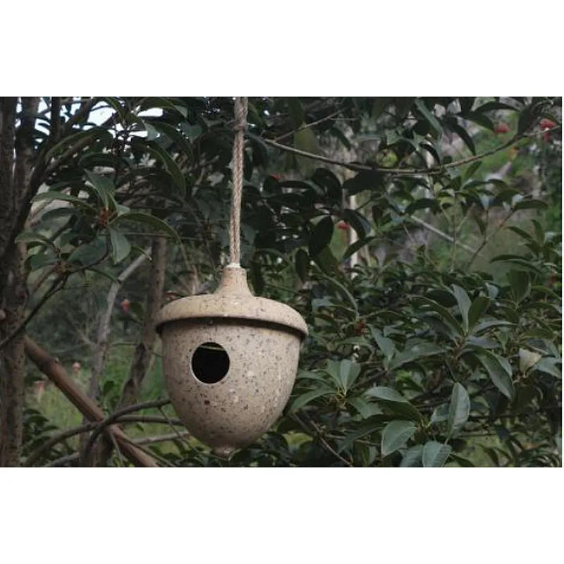 Acorn Bird House