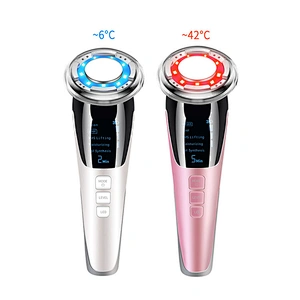 TED-214 EMS Facial Massager