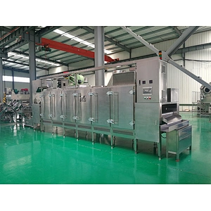 Multifunctional continuous Nut Roaster