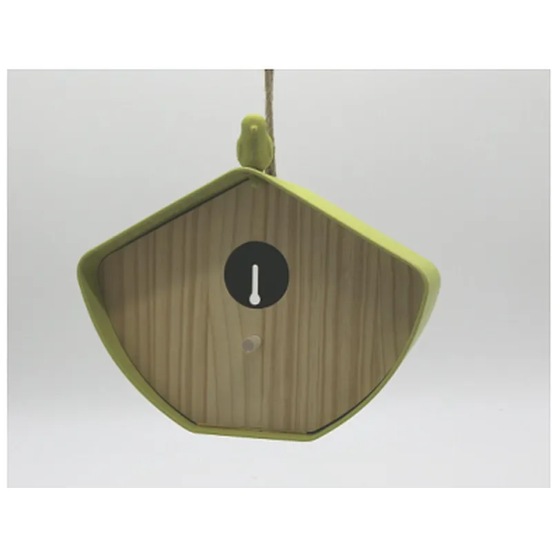 Building Bird House- S