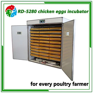 5280 Egg Incubator