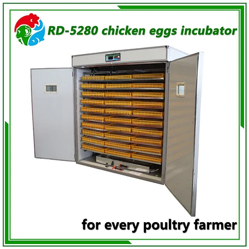 5280 Egg Incubator