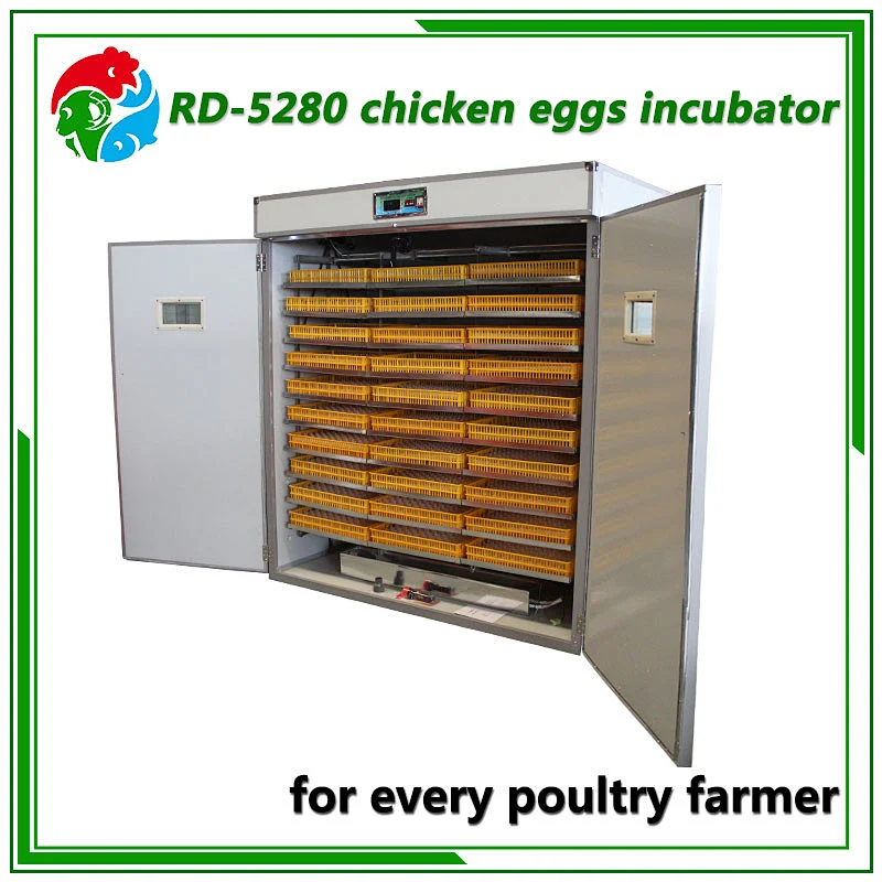 5280 Egg Incubator