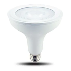 Directional Lamp