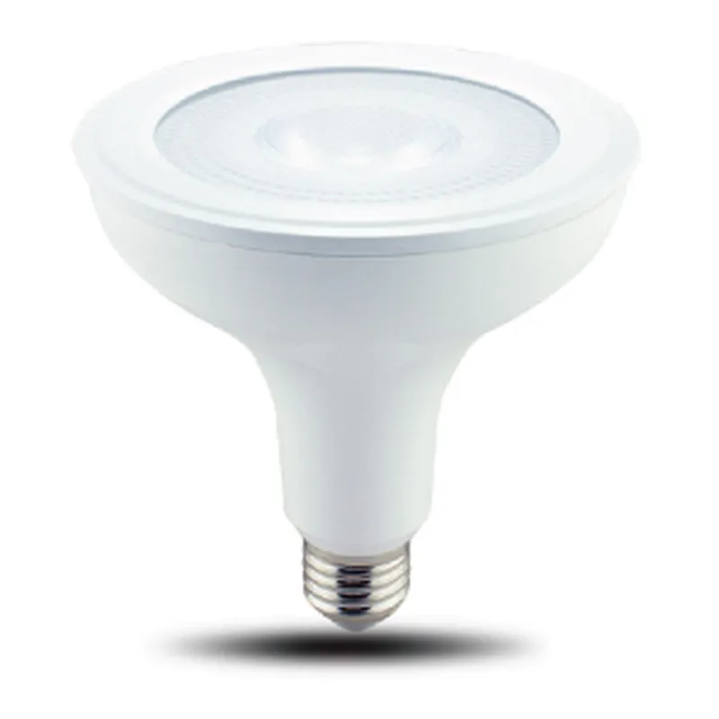 Directional Lamp