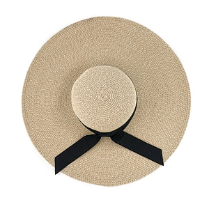 FLOPPY HAT PAPER BEACH HAT 21013