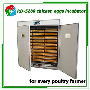 5280 Egg Incubator