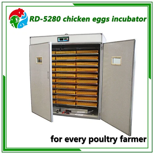 5280 Egg Incubator