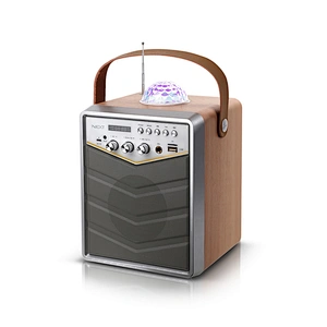 Disco Wooden Bluetooth Speaker