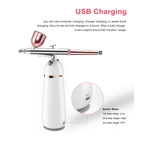 TED-220 Facial Mist Sprayer